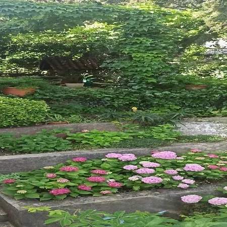 & Jokovic-comfort With Terrace And Partial Sea View Soba 1 아파트 믈리니
